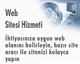 Web Sitesi Hizmetleri